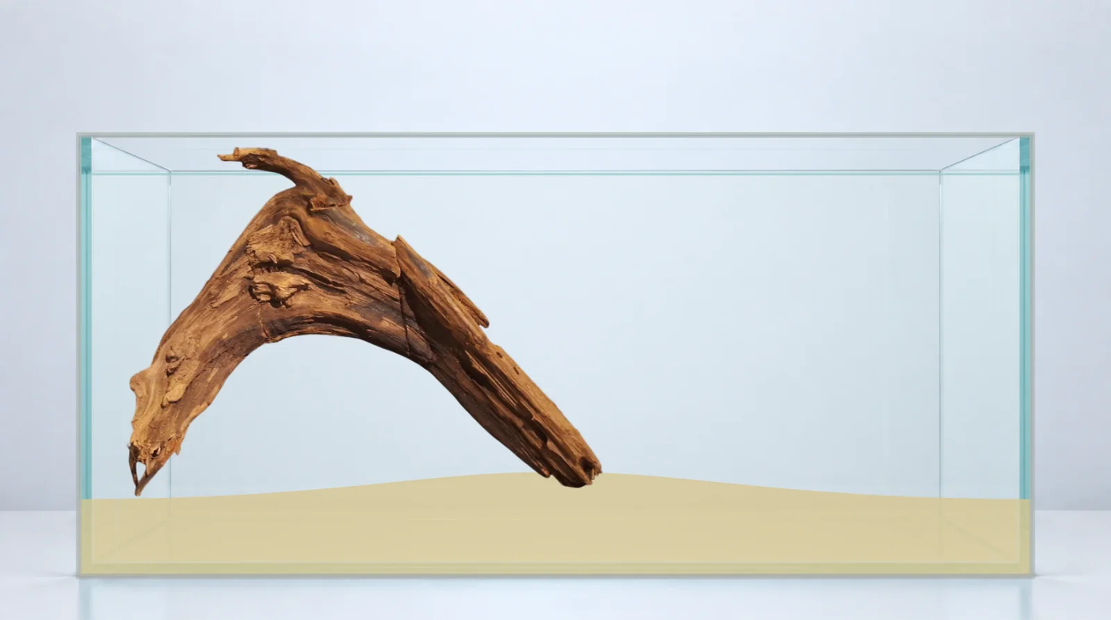Planeringsytan i Aquascape Studio: roten P342623 placerad i ett tomt akvarium, 90 × 45 × 45 cm