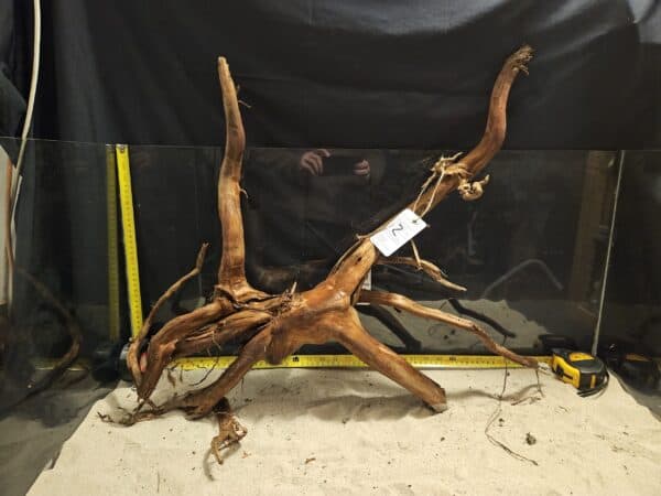 Detaljerad bild av unik äkta bogwood för akvarieanvändning.