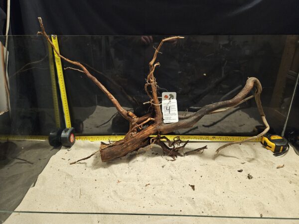 Unikt Aquascaping med äkta träbit för akvarium och terrarium.