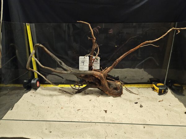 Detaljerat driftsträd av äkta bogwood för akvarieinredning och aquascaping.