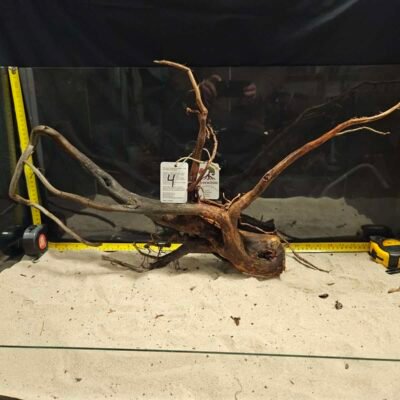 Detaljerat driftsträd av äkta bogwood för akvarieinredning och aquascaping.
