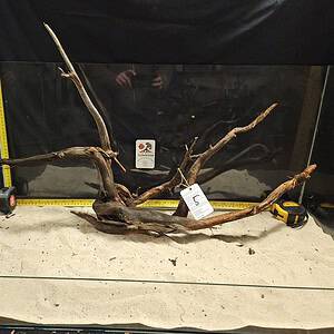 Unikt och naturligt äkta bogwood för aquascaping och akvariedekoration.