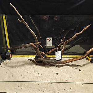 Tuskwood - Äkta bogwood för aquascaping, naturlig dekoration till akvarium.