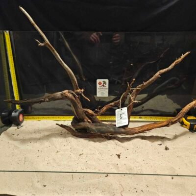 Tuskwood - Äkta bogwood för aquascaping, naturlig dekoration till akvarium.