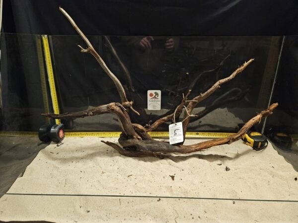 Tuskwood - Äkta bogwood för aquascaping, naturlig dekoration till akvarium.
