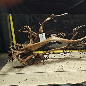 Tuskwood Aquascaping Root XXL Rootflow A 50-70cm nr6 AA