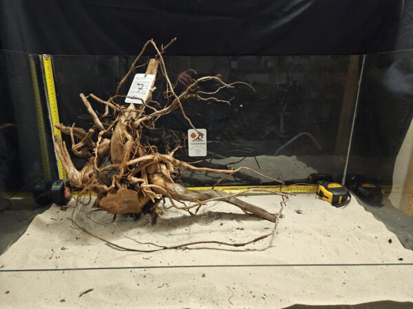 Unikt och naturligt bogwood för akvarium och aquascaping. Perfekt för att skapa en vacker undervattensmiljö.