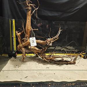 Tuskwood Aquascaping Root XXL Rootflow A 50-70cm nr8 A