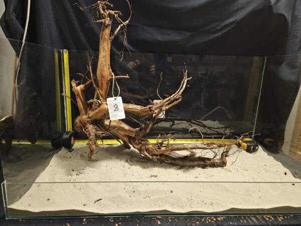 Äkta bogwood för akvarium och aquascaping, högkvalitativt och unikt trästycke för sommarstilar.