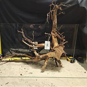 Detaljerad bild av äkta bogwood för akvarium och aquascapingprojektering.