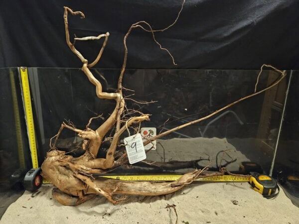 Unik äkta bogwood för eleganta akvariumlandskap och aquascaping. Perfekt för natursköna akvarieuttryck och hemdekor.