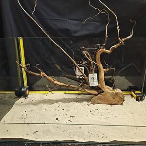 Unikt och naturligt äkta bogwood för aquascaping och akvarium.