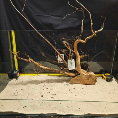 Unikt och naturligt äkta bogwood för aquascaping och akvarium.