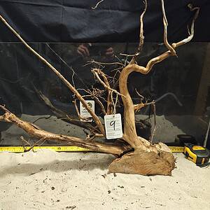 Vackert naturligt trä för akvarium och aquascaping, unikt och äkta bogwood från Tuskwood.