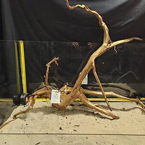 Unik trolldel av äkta bohwod för akvarie.