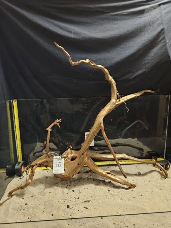 Naturtro träbit för akvarium och aquascaping, vacker och unik Äkta Bogwood.