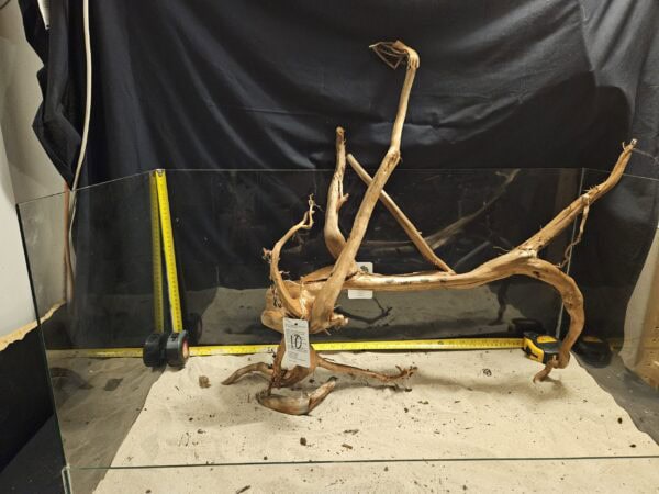 Unikt äkta bogwood för akvarium och aquascaping. Naturligt tätt, vackert och hållbart för kreativa akvarieutställningar.