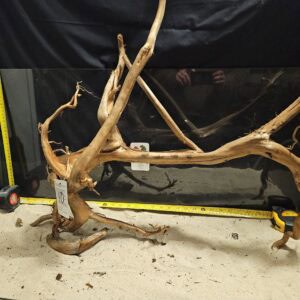 Äkta bogwood för akvarium och aquascaping, unika naturliga material för vackra undervattensmiljöer.