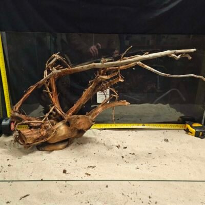 Tuskwood akvaariojuuri aidosta suopuusta, 50-70cm