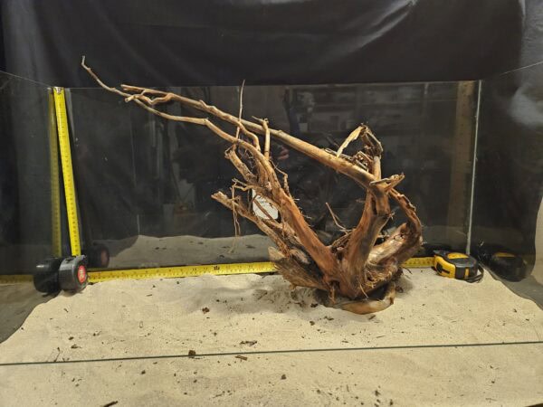 Tuskwood Aquascaping Root XXL Rootflow A 50-70cm nr11 A - Bild 2