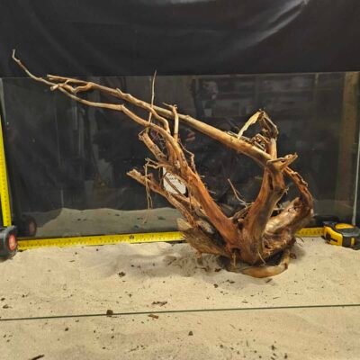 Tuskwood akvaariojuuri aidosta suopuusta, 50-70cm