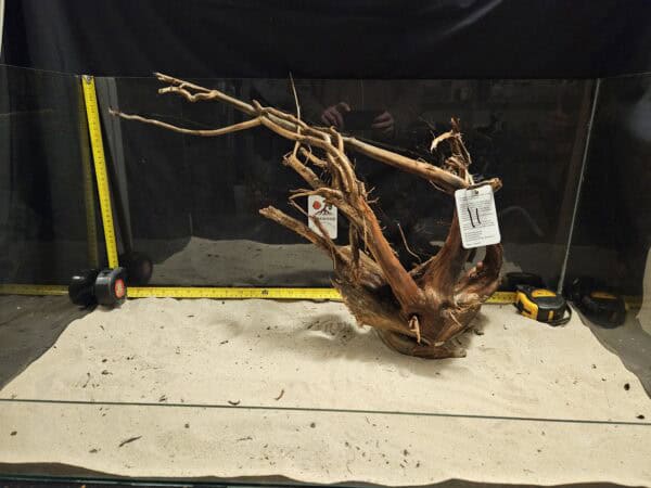 Tuskwood Aquascaping Root XXL Rootflow A 50-70cm nr11 A