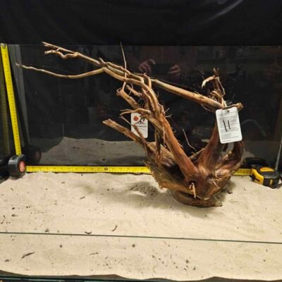 Tuskwood akvarierot i äkta bogwood, 50-70cm