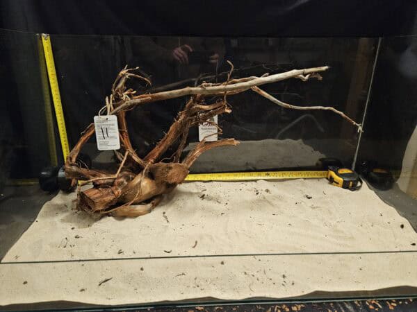 Tuskwood Aquascaping Root XXL Rootflow A 50-70cm nr11 A - Bild 3