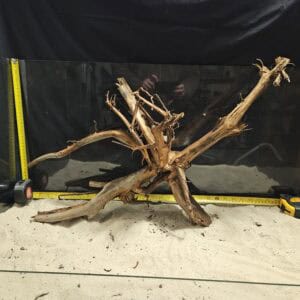 Unikt, naturligt äkta bogwood för akvaristsättning och aquascaping.