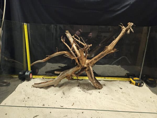 Unikt, naturligt äkta bogwood för akvaristsättning och aquascaping.