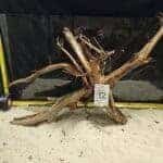 Unikt, naturligt trädstödsrester för akvarieinredning och aquascaping, perfekt för vackra akvariefacetter.