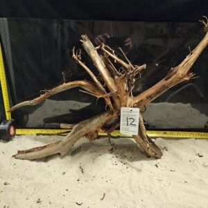 Unikt, naturligt trädstödsrester för akvarieinredning och aquascaping, perfekt för vackra akvariefacetter.