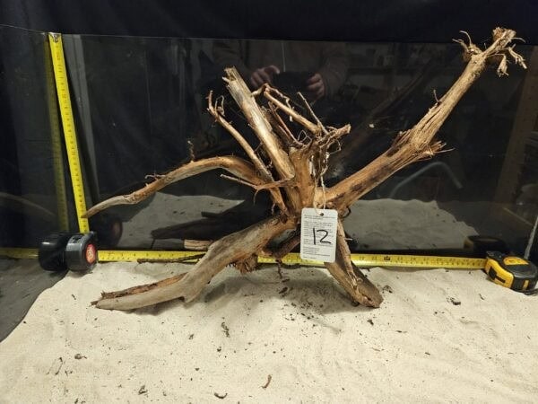 Unikt, naturligt trädstödsrester för akvarieinredning och aquascaping, perfekt för vackra akvariefacetter.