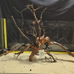 Detaljerad bild av äkta bogwood för akvascaping och aquascaping.