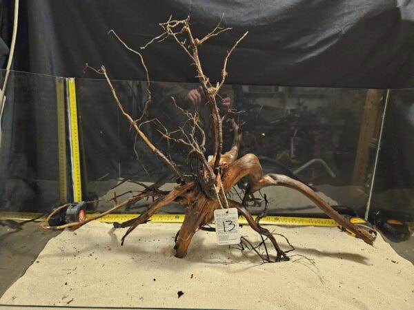 Detaljerad bild av äkta bogwood för akvascaping och aquascaping.