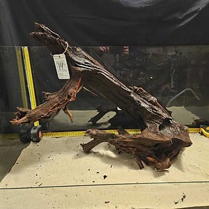 Tuskwood Aquascaping Root XXL Iron Style 50-70cm nr14 AA