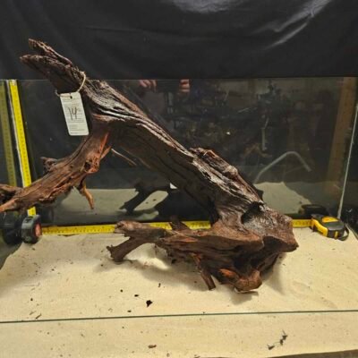 Tuskwood Racine d'aquarium en véritable tourbière, 50-70cm