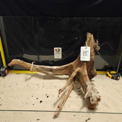 Tuskwood aquarium root in real bogwood, 50-70cm