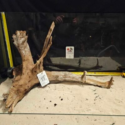 Tuskwood Racine d'aquarium en véritable tourbière, 50-70cm