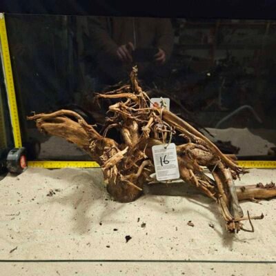 Tuskwood akvarierod i ægte mosetræ, 40-50 cm