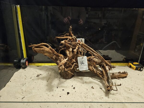 Tuskwood Aquascaping Root XL Rootflow 40-50cm nr16 AA - Bild 2
