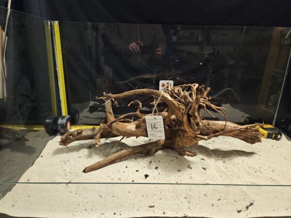 Tuskwood Aquascaping Root XL Rootflow 40-50cm nr16 AA