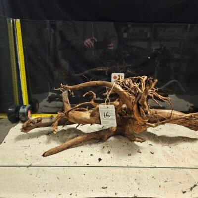 Tuskwood akvarierot i äkta bogwood, 40-50cm