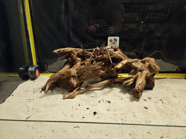 Tuskwood Aquascaping Root XL Rootflow 40-50cm nr16 AA - Bild 2