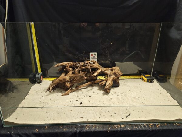 Tuskwood Aquascaping Root XL Rootflow 40-50cm nr16 AA - Bild 3
