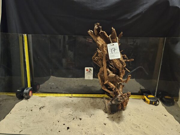 Tuskwood Aquascaping Root XL Rootflow 40-50cm nr16 AA - Bild 4