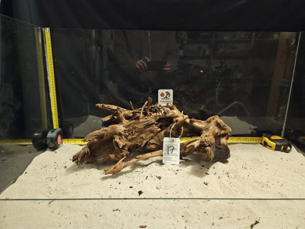 Tuskwood Aquascaping Root XL Rootflow 40-50cm nr16 AA