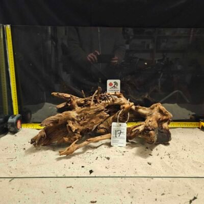 Tuskwood akvarierot i äkta bogwood, 40-50cm