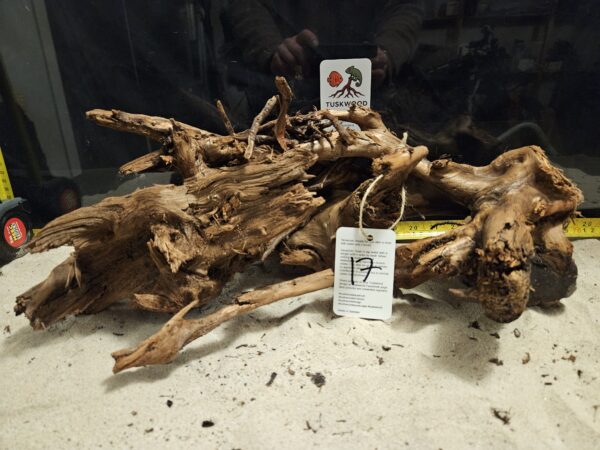 Tuskwood Aquascaping Root XL Rootflow 40-50cm nr16 AA - Bild 6