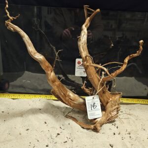 Tuskwood Aquascaping Root XXL Rootflow A 50-70cm nr18 A